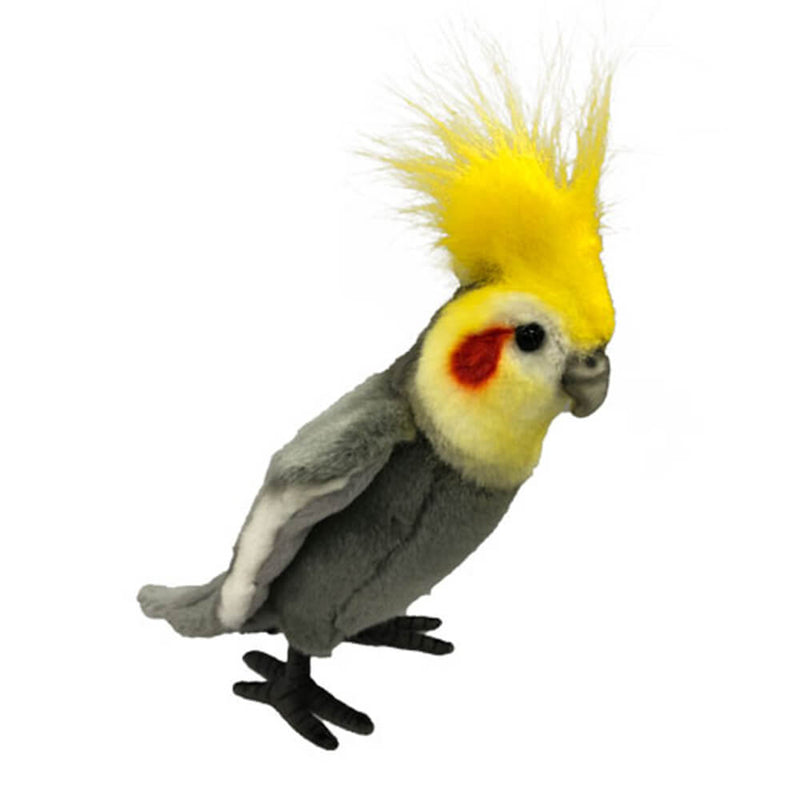 Hansa Gray Cockatiel (23 cm)