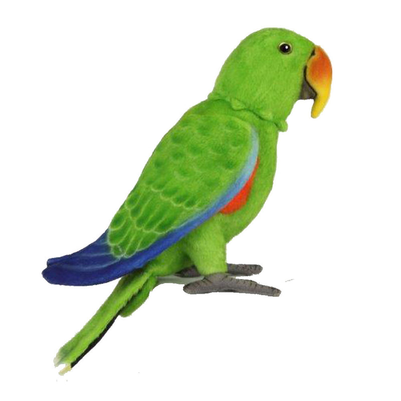 Posheble Electus Parrot Pehmo lelu 30cm