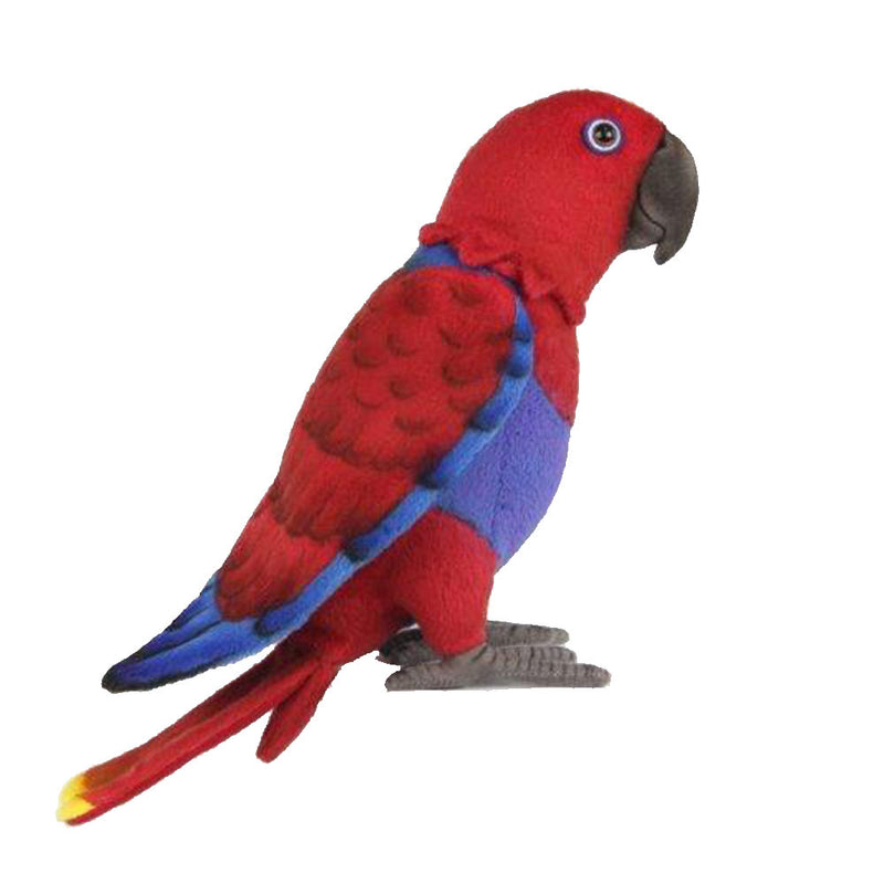 Posheble Electus Parrot Pehmo lelu 30cm