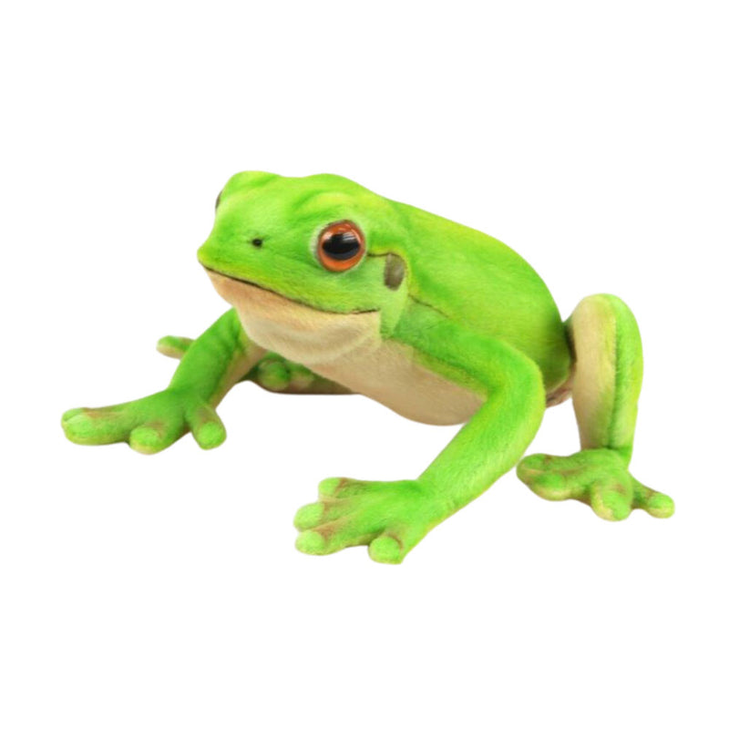 Green Tree Frog Soft Animal Stuffed Toy 22cm W