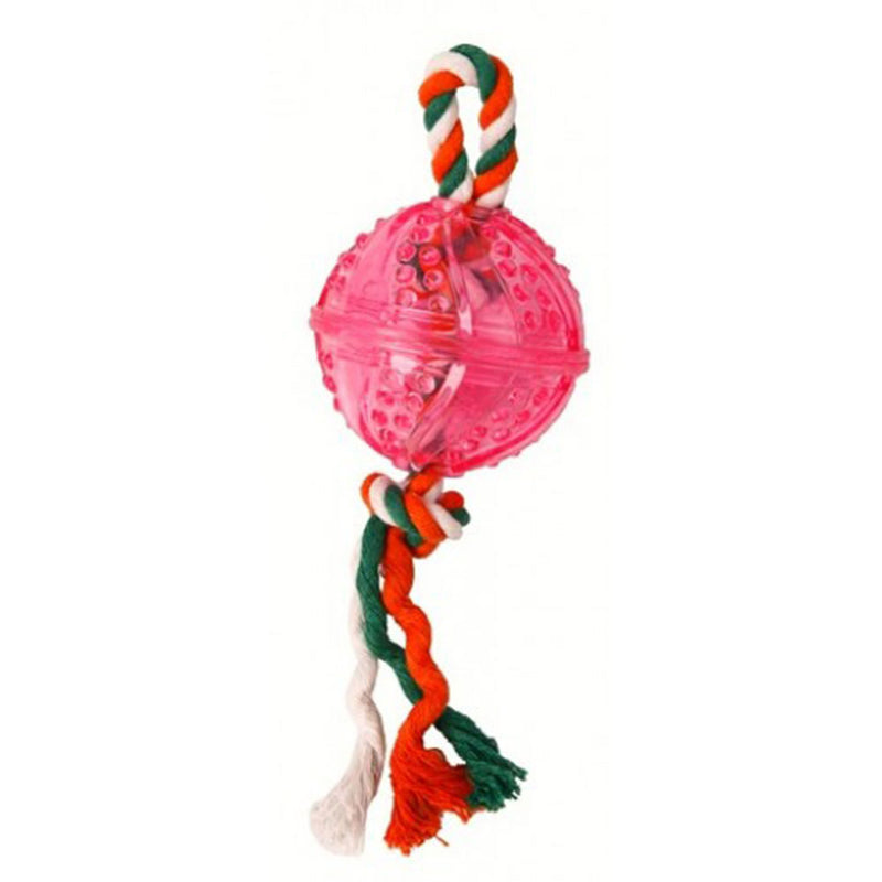 Ball with Rope Dog Toy (Large)