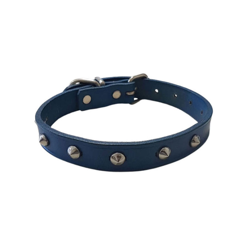 Halsband mit Leder besorgt (blau)