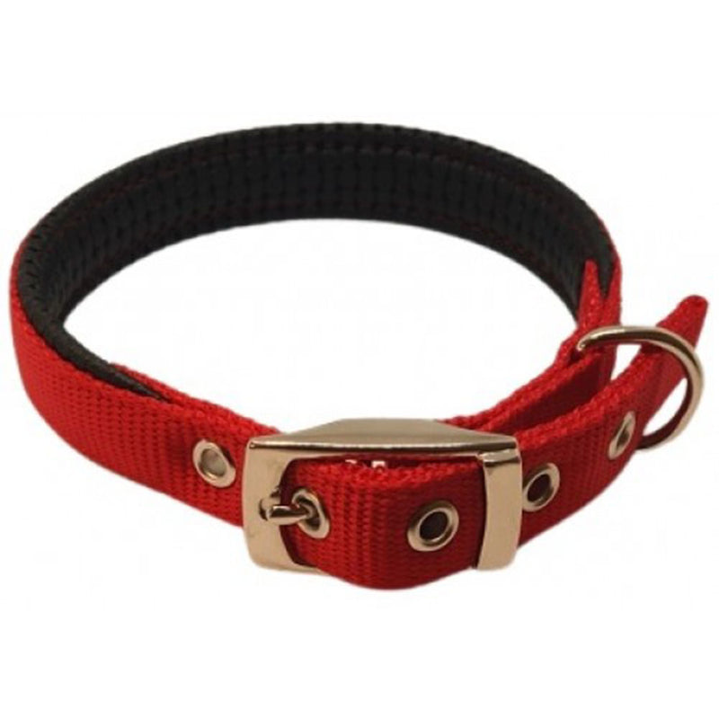 Nylon Padded Bird Collar 70cm