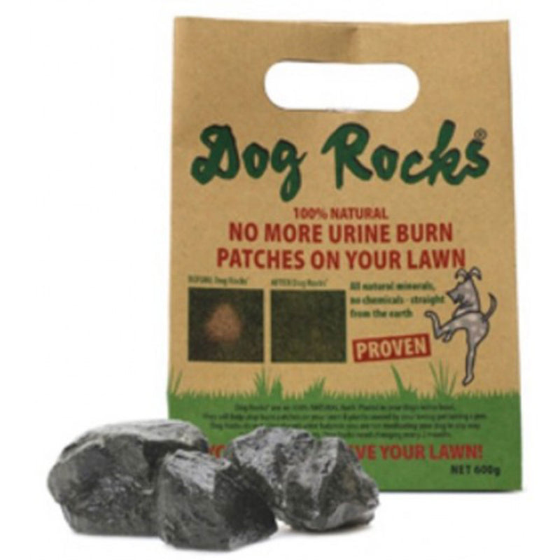 Hund Rocks Pet Urine Lukt Eliminator