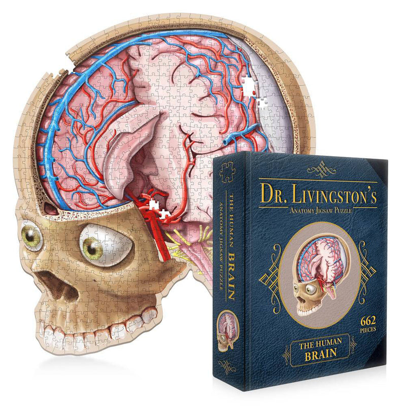 Dr. Livingstons Anatomy Jigsaw Puzzle