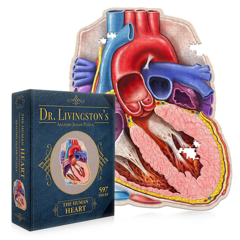 Dr. Livingstonin anatomia -palapeli