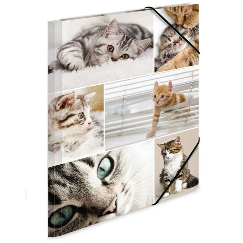 Herma Elasticated Cardboard Folder A4 Animals