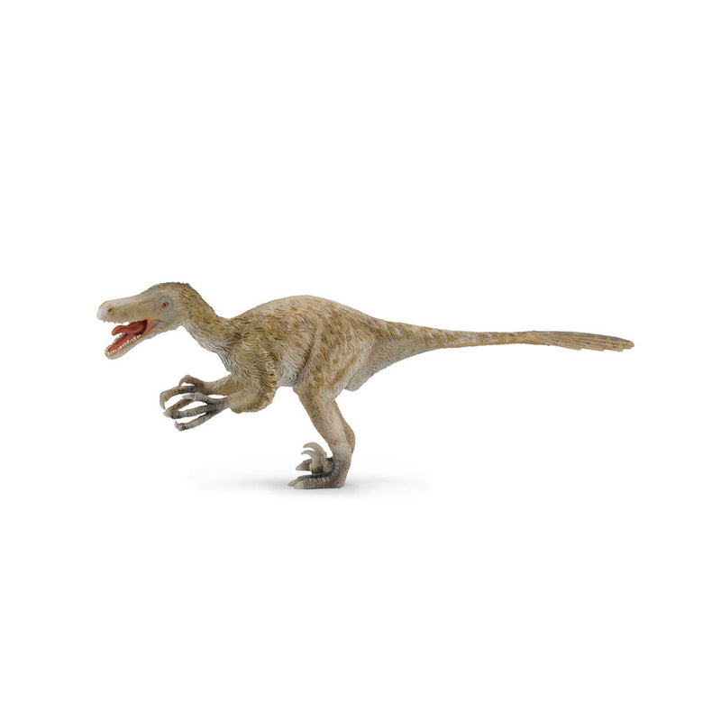 Collece Velociraptor Dinosaur -hahmo