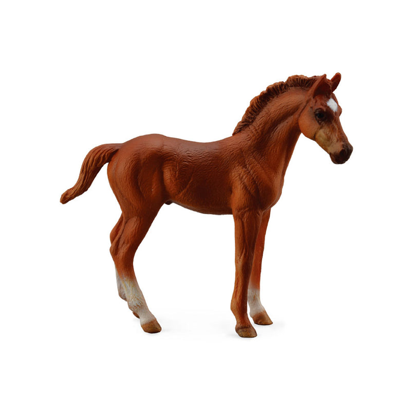 COLLAGA FULLBRED FOAL Kastanj (medium)