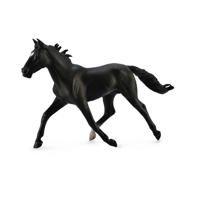 KOKOINEN Standardirasainen Pacer Stallion Figum (XL)