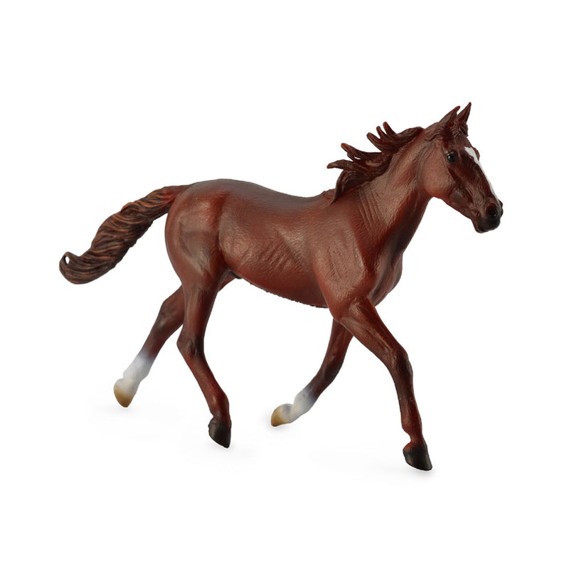 KOKOINEN Standardirasainen Pacer Stallion Figum (XL)