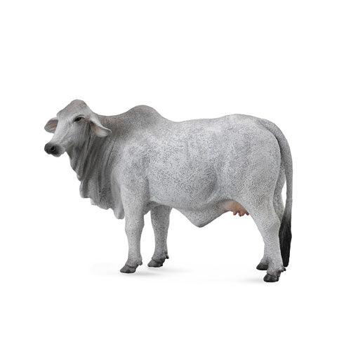 CollectA Brahman Cow Figure (Large)