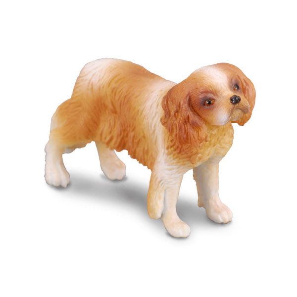 CollectA Cavalier King Charles Spaniel Figure (Medium)