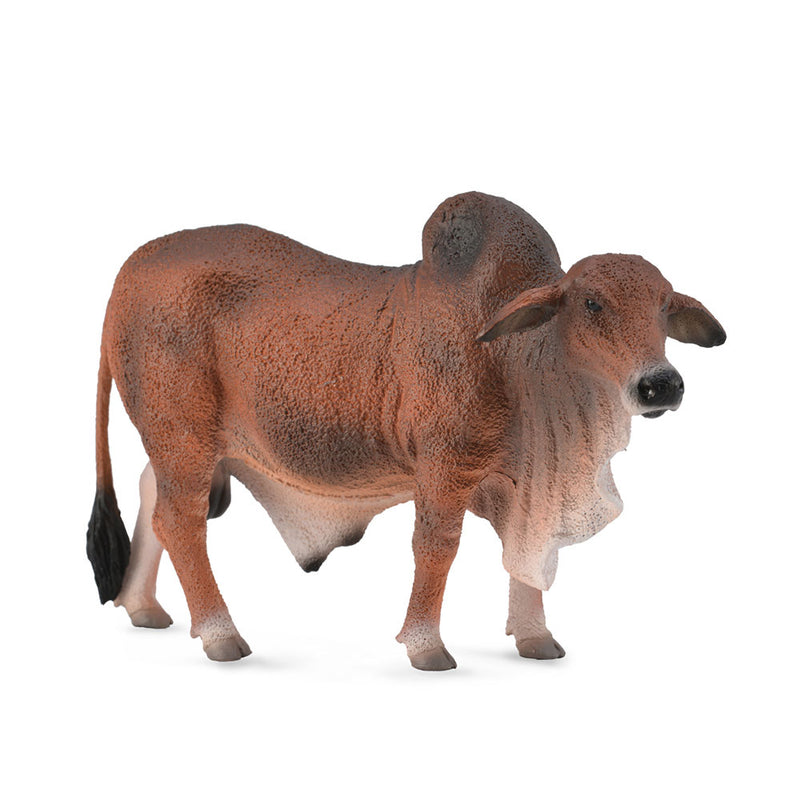 COCOLLA BRAHMAN BULL FIGUR (stor)