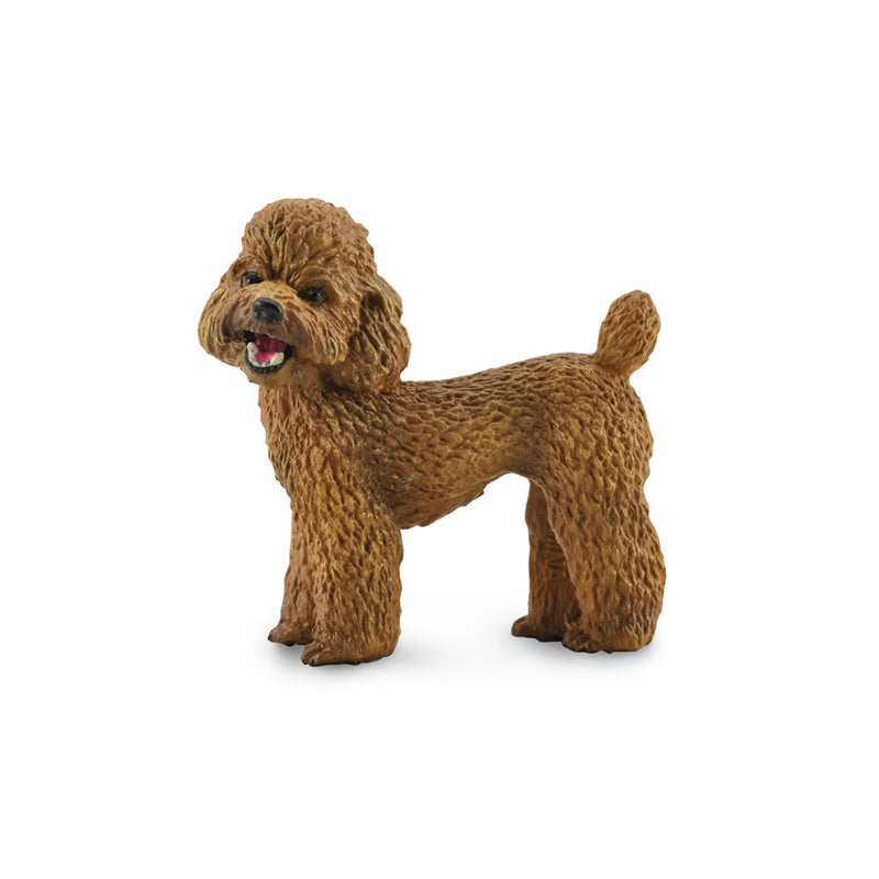 CollectA Poodle Figure (Medium)