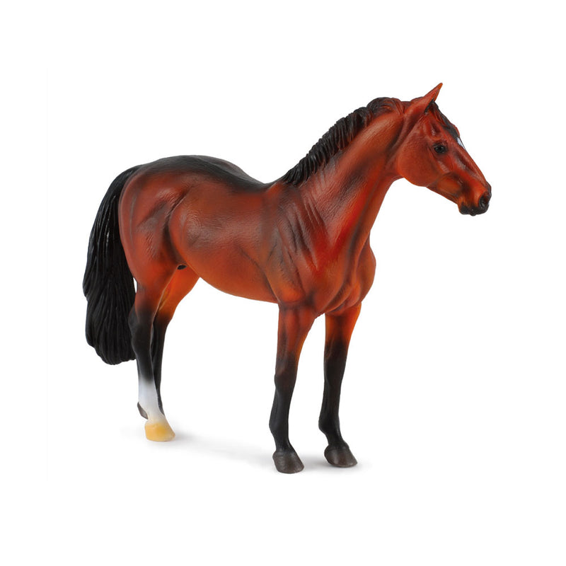 Colleca Hanoverian hingstfigur (XL)