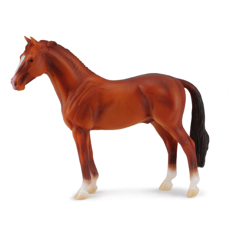 Colleca Hanoverian hingstfigur (XL)