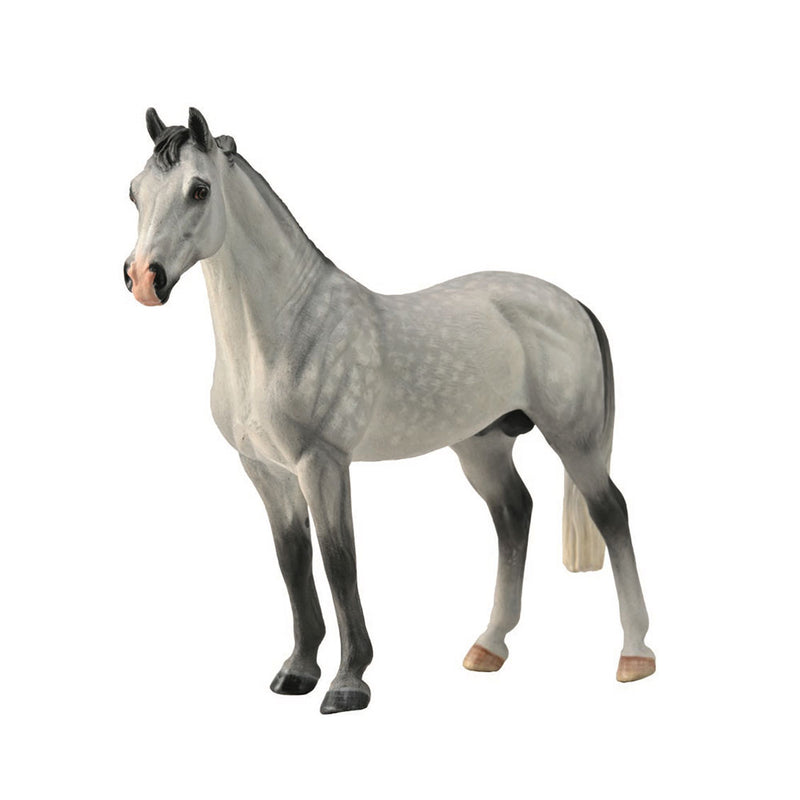 Colleca Hanoverian hingstfigur (XL)