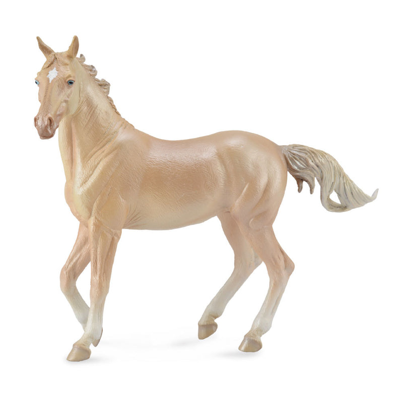 Collecta Akhal Teke sto (extra stor)