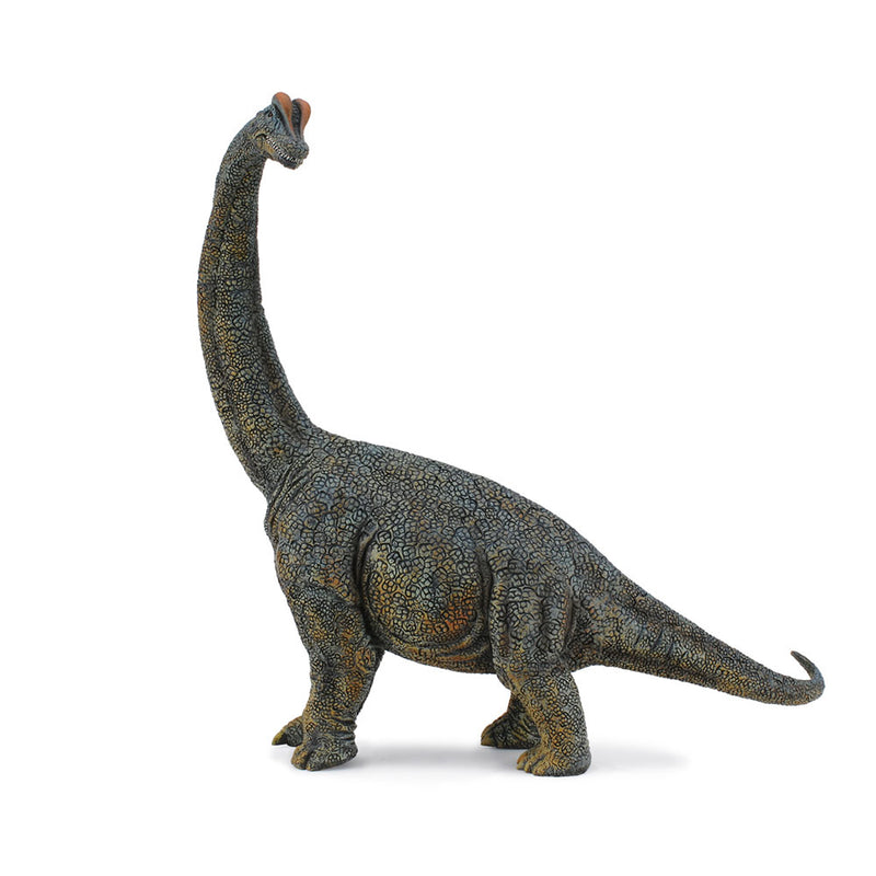 Collecta Brachiosaurus Dinosaur -hahmo