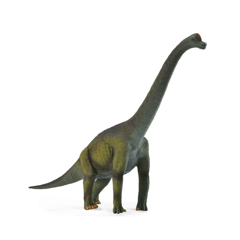 Collecta Brachiosaurus Dinosaur -hahmo