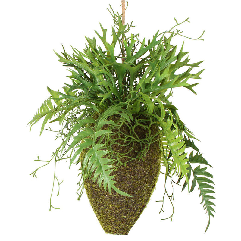 Moana Kokedama Mixed Hanging