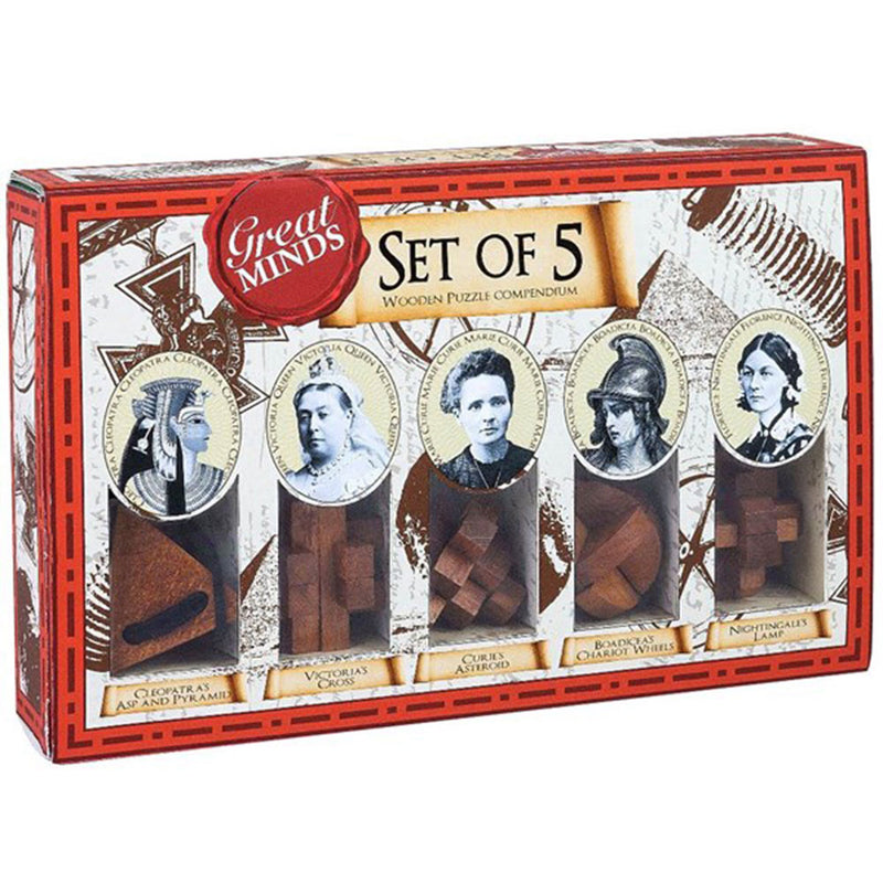 Great Minds Wood & Metal Brainteaser Puzzle 5kpl