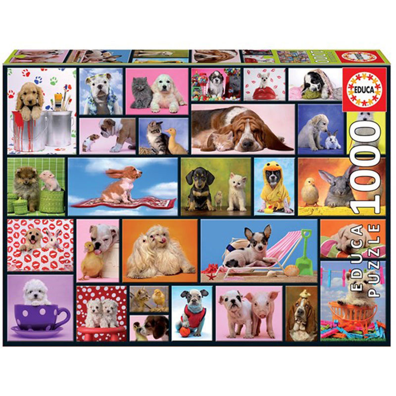 Educa Puzzle Collection 1000pc