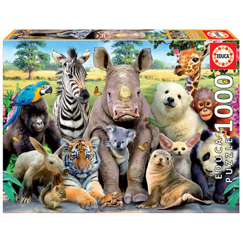 Educa Puzzle Collection 1000pc