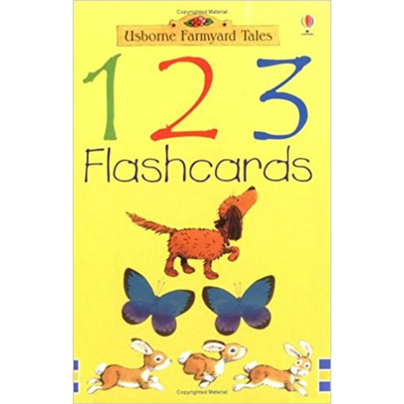 Usborne Flashcard for Children