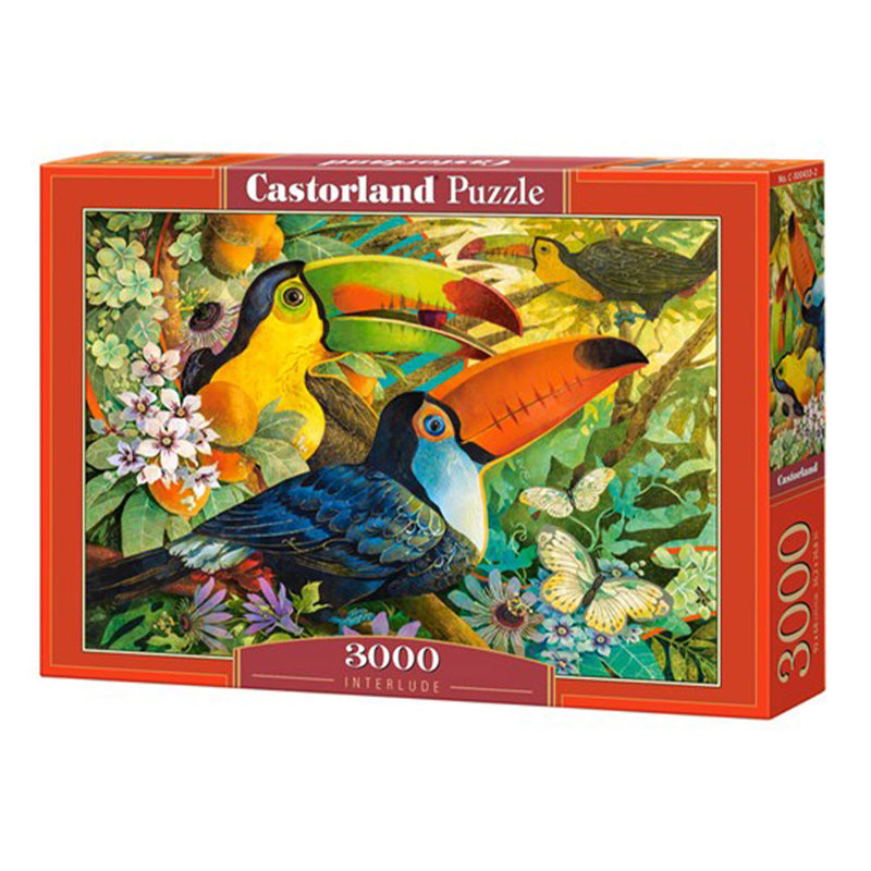 Castorland Classic Puzzle 3000pcs