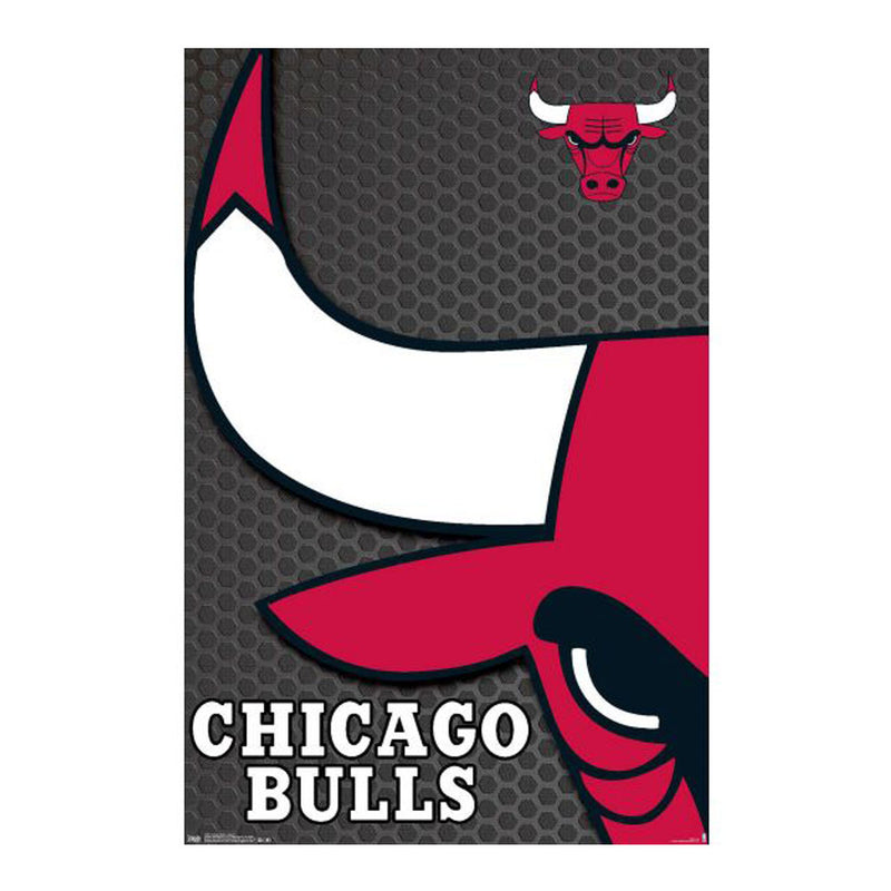 NBA Chicago Bulls -juliste