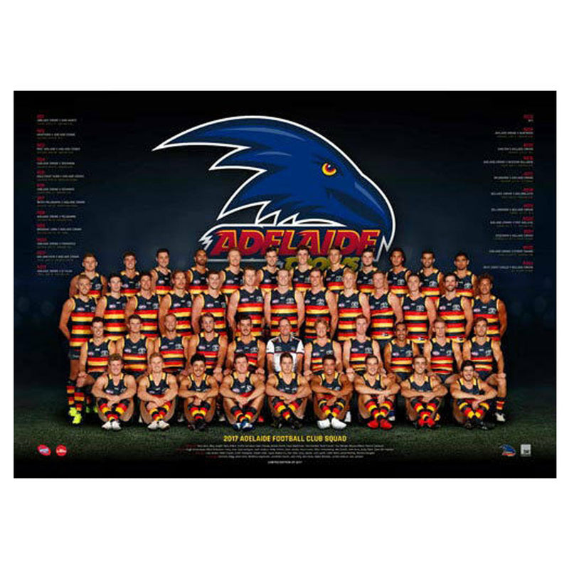 AFL 2017 Teamposter