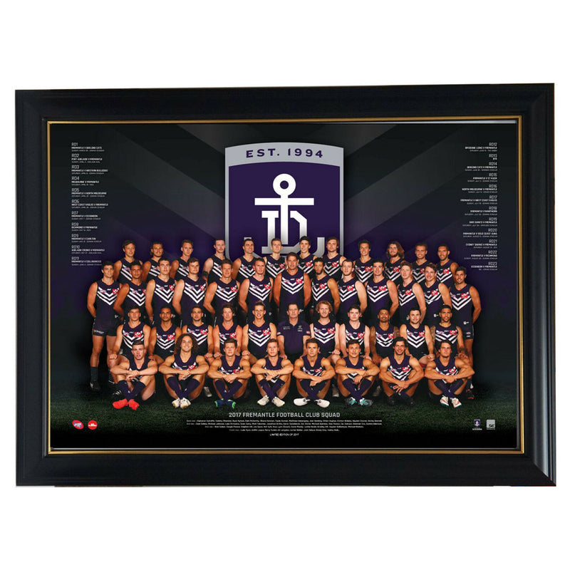 AFL 2017 Team -juliste