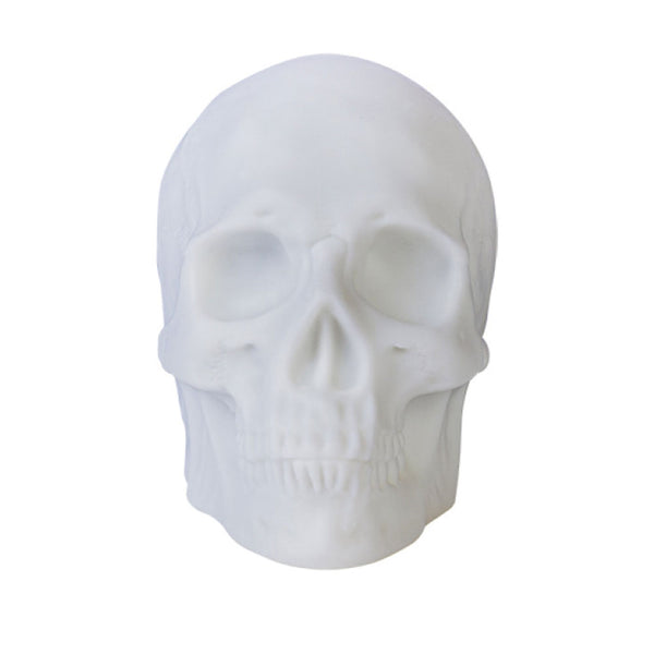 Skull Light Up Speaker