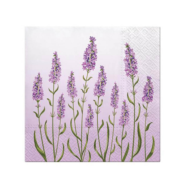 Paw Lavender -lounasnauhan 33cm (20PK)