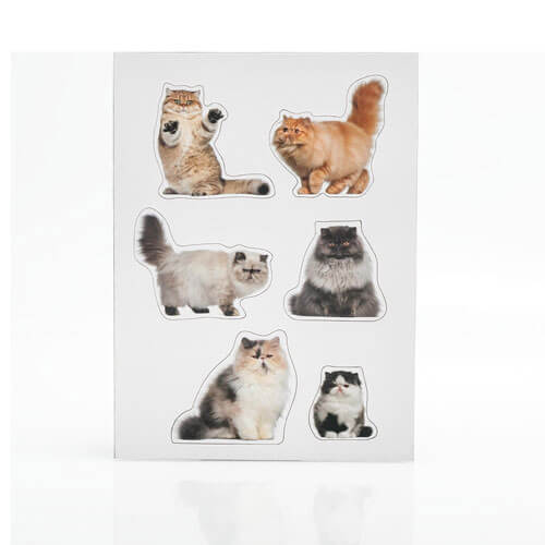 Fat Cat Magnets